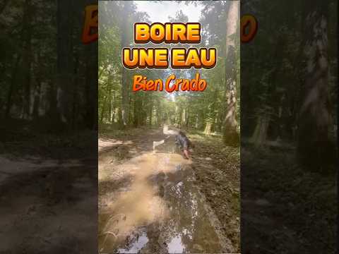 Boire de l'eau bien crado !
