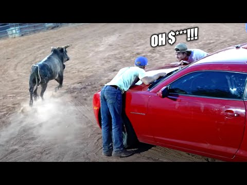 Last To Take Hand Off Camaro, Keeps It! (But There’s a Bull)