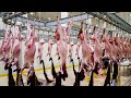 Goat Farming and Dairy Production