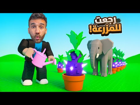 رجعت لجرو جاردن بعد غياب طويل 🌱