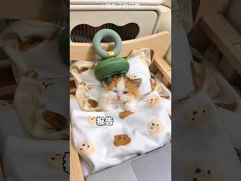 MassaGer