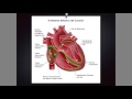 Cuestionario sobre Electrocardiograma