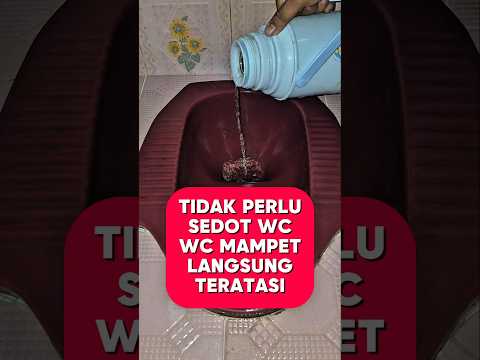 TIDAK PERLU SEDOT WC WC MAMPET LANGSUNG TERATASI !!! #education #ideas #tutorial #information #tips