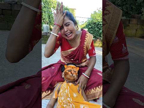 ।।😺😺বিল্লু আমাদের ছেড়ে চলে গেছে রে😃😃।। #sorts #funny #youtubeshort #viralshort #cat #cutebaby
