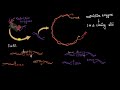 Restriction Enzymes and Gene Cloning