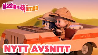 Masha och Björnen 👧🐻 1 timme ⏰ NYTT AVSNITT ⏰ Samling för barn 🎬