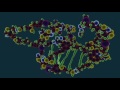 Protein Structure and Function Concepts