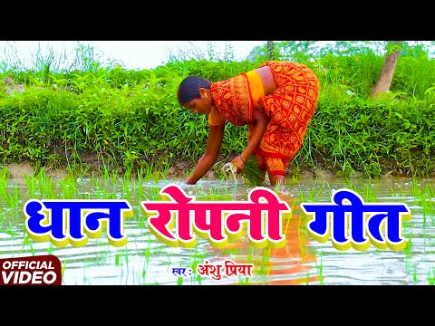 #Video असली धान रोपनी गीत || हम जाईब अपनी नईहरवा हो लाल || Anshu Priya Paramparik Dhan Ropni Geet