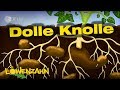 Fortpflanzung und Wachstum der Kartoffelpflanze