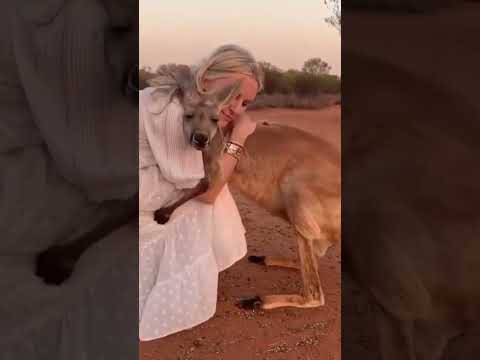 Supernatural Attachment: Amazing Love Between Animals and Humans 💖