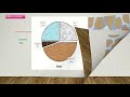 Soil Composition and Plant Growth