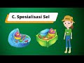 Organ Systems and Cell Functions