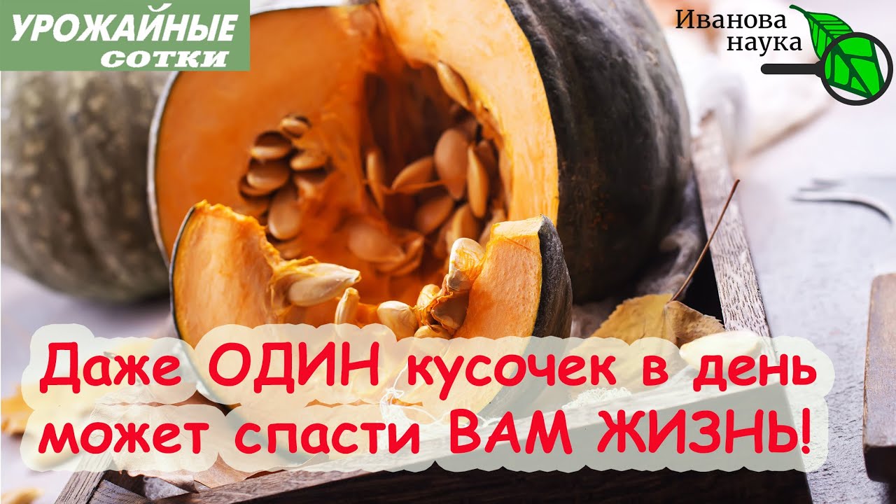 Раскрыты уникальные свойства привычного овоща! Лечение тыквой! Вкусный рецепт в описании к видео