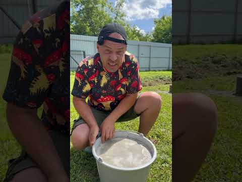 🔥если взять пластиковое ведро🔥 #diy #дача