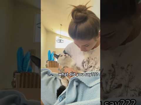 My cats can understand English 🤣🤣 #funnyvideo #cat #funny #pets #cute #fyp #foryou #funnyshorts