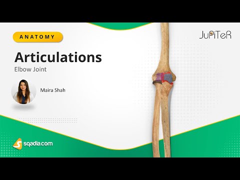 Elbow Joint | Articulation | Bone, Ligaments and Muscles Anatomy Made Easy for Medical Students