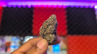 STONER SMOKE SESH #420