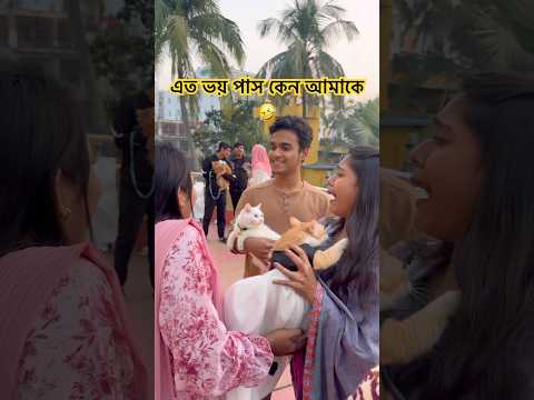 এত ভয় পাস কেন আমাকে🤣 #cat #shorts #viralvideos