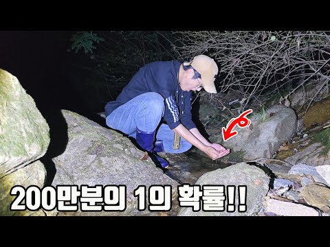 3대가 덕을 쌓아야 볼 수있는 초레어한 생물! 정말 힘들게 찾았습니다 ㅠㅠ