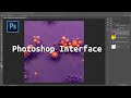 Photoshop Tools and Techniques