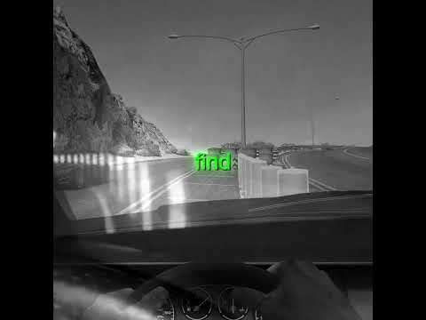 Bro Thinks He's Driving on the Los Santos Freeway... 😊🚧