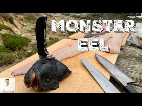 MONSTER EEL | Catch and Cook | Was It Still Alive During Filleting?