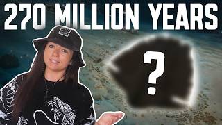 The Most Successful Animal to Ever Exist? | Lindsay Nikole