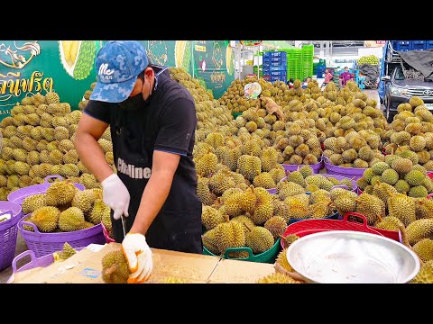 Crazy Speed! Amazing Durian Fruit Cutting Skills - Thai Street Food