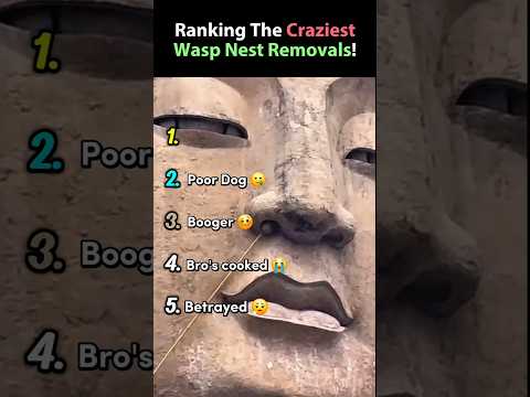 Ranking Funniest Wasp Nest Removals!😭 #shorts #funny #viral #ranking #fail #cool