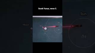 Moon phases help us count time.