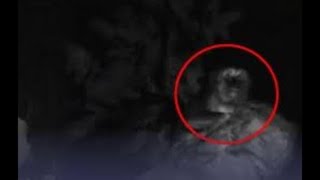 Live misteri Malam Ini‼️PENAKUT JANGAN NONTON SENDIRIAN,SoSok TaliBan