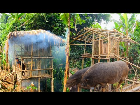 This guy wanted to change his life so he went into the forest to set up a farm.