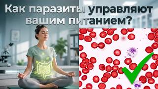 Прайм-тест: Почему его нельзя заменить другими анализами?
