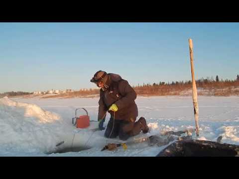 Трудовая рыбалка НАЛИМ 24. 11. 2019