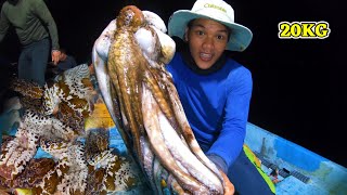 Phát Hiện Ổ Hải Sâm, Bạch Tuộc Khổng Lồ Lúc Nửa Đêm Cực Đã