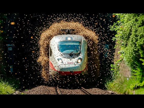 Incredible Train Moments Caught on Camera!