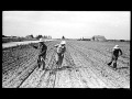 Impact of Machines on Nature