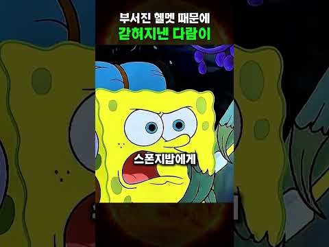 부서진 헬멧 때문에 갖혀지낸 다람이