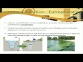 Urban Environmental Concepts and Strategies