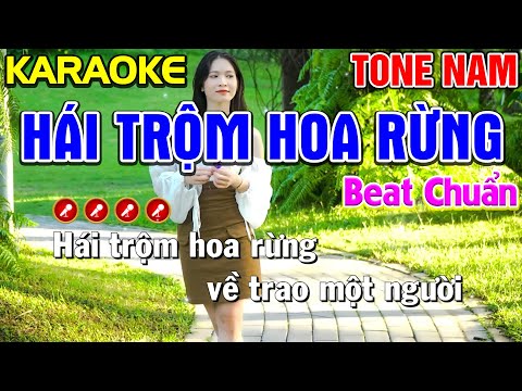 Hái Trộm Hoa Rừng Karaoke Bolero Nhạc Sống Tone Nam ( BEAT CHUẨN ) | Nàng Thơ Karaoke