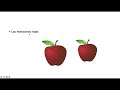Spanish Adjective Agreement and Pluralization