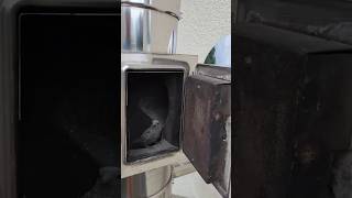 Vogel aus Kamin gerettet