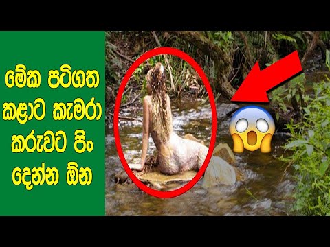 පටිගත කරගත්ත මනුස්සයට පිං දෙන්න ඕන මාරම සිද්ධි 20ක් මෙන්න. | 20 Incredible Moments Caught On Camera