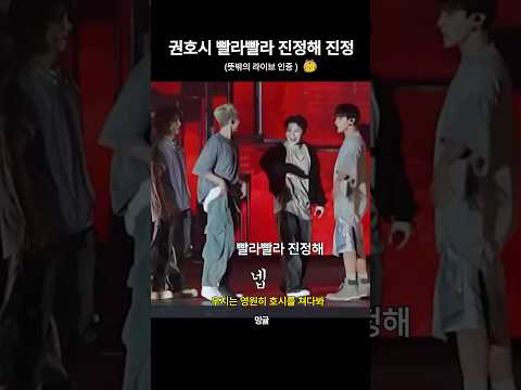 [세븐틴] 날뛰는 호랑이와 안정시키는 사육사들