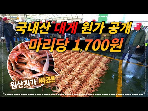 국내 최대 대게 생산지 구룡포 대게 경매장