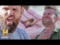 Insect Eating Adventure