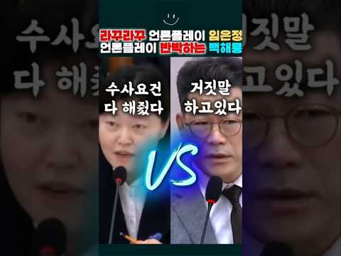 작심하고 나와 상황 정리해주는 백해룡 경정!/2025.10.27 대검 국감장 발언 #백해룡 #임은정
