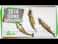 Significant Events and Discoveries of 2014