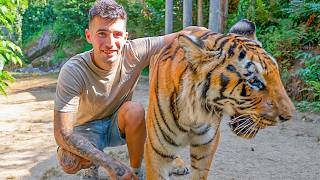 CUIDANDO ANIMALES SALVAJES en un REFUGIO !!