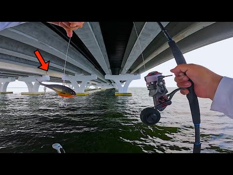 Fishing under HUGE! BRIDGES and DEEP! INLETS in PENSACOLA Bay! [Multiple Species]